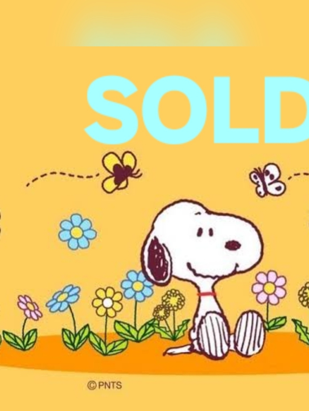 Sanuk Kids Gray Slip-On Shoes Size 1